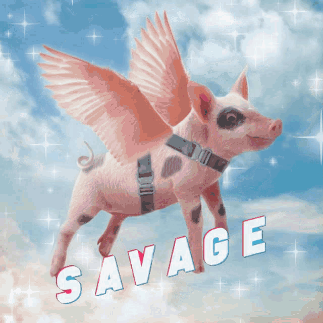 Savage When Pigs Fly Gif GIF