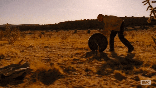 Savanna Rolling Walter White GIF