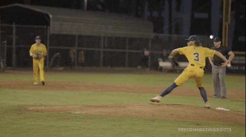 Savannah Bananas Strike Your Out GIF
