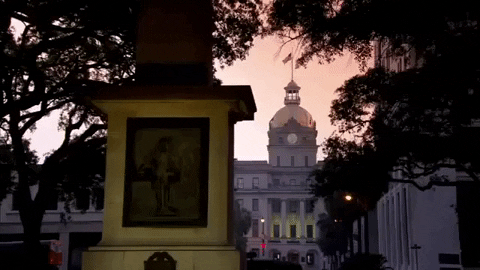 Savannah Georgia Old Tower GIF