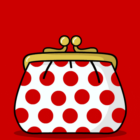 Save Money Coin Bouncing Into Purse GIF