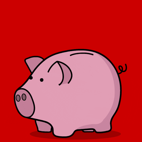 Save Money Coin Dropping Into Piggy Bank GIF