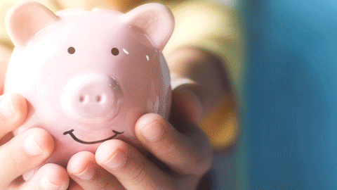 Save Money Hands Holding Piggy Bank GIF