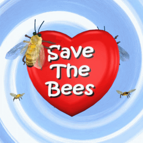 Save The Bees Heart GIF