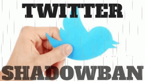 Save Twitter Shadowban Illustration GIF