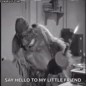 Say Hello To My Little Friend 298 X 298 Gif GIF