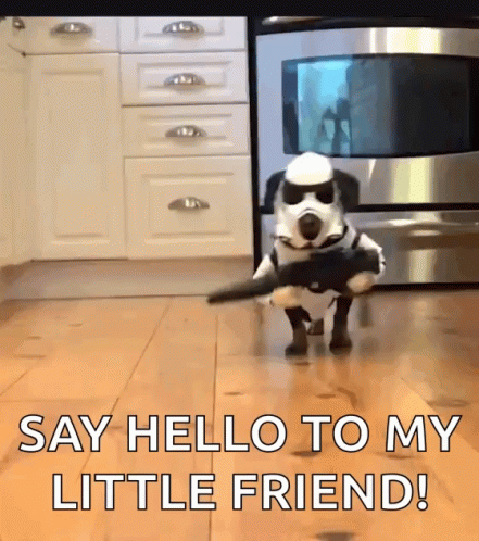 Dog Gangster Say Hello To My Little Friend GIF
