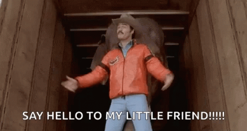 Say Hello To My Little Friend Smokey Bandit GIF