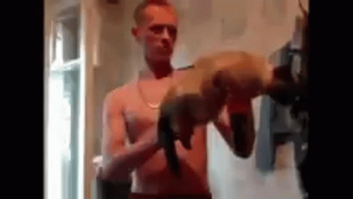 Say Hello To My Little Friend Gun Kitty GIF