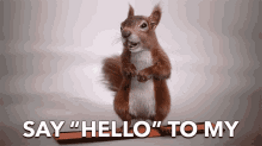 Say Hello To My Little Friend GIF