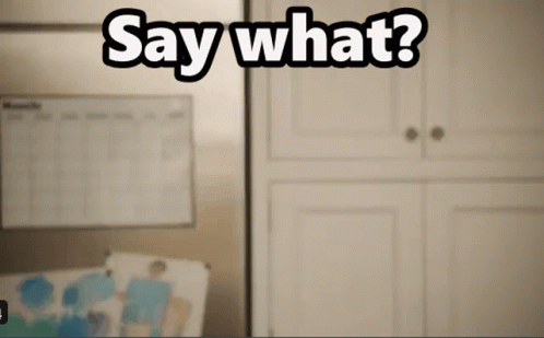 Hellmann's Ad Amy Schumer Say What GIF