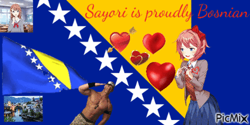 sayori is proudly bosnia written on a blue and yellow flag