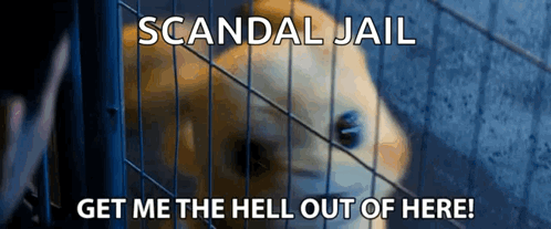 Scandal Jail Pikachu GIF