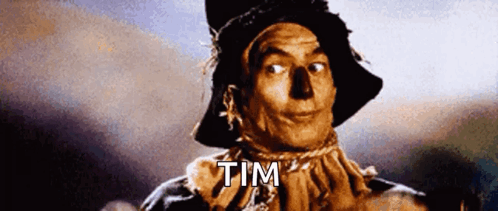 Scarecrow From Wizard Of Oz Saying Tim GIF