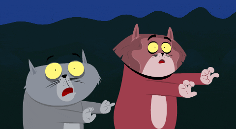 Scared Cats Kitty Is Not A Cat GIF