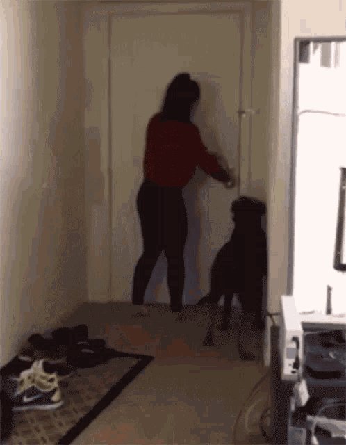 Scared Dog And Dinosaur Costume GIF