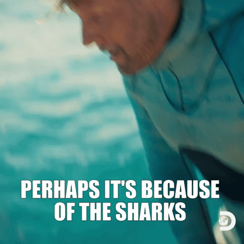 Scared Parkers Trail Perhaps The Shark GIF