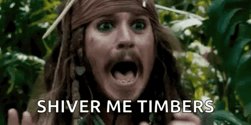Scared Pirate GIF