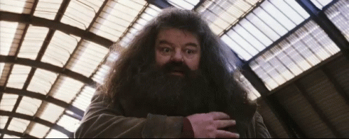 Scared Rubeus Hagrid GIF