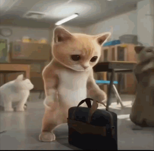 Scared Smurf Cat Raising Its Hands GIF