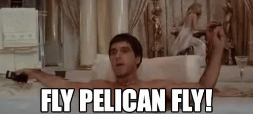 Scarface Tony Montana Fly Pelican GIF