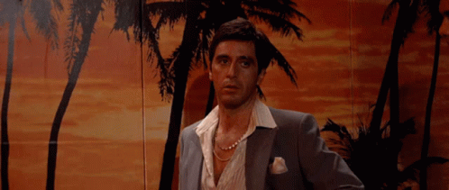 Scarface Tony Montana You Finished GIF