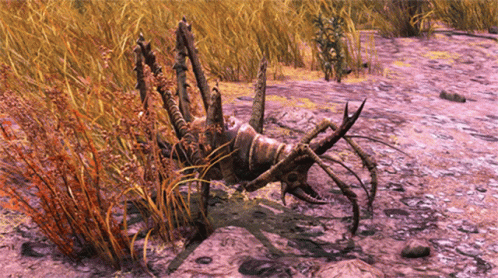 Scary Giant Cricket On Ground GIF