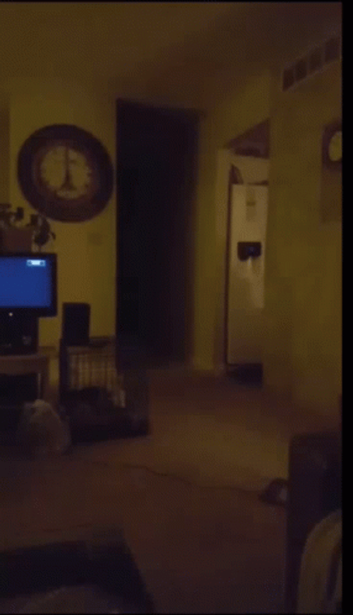 Scary Jump Scare GIF