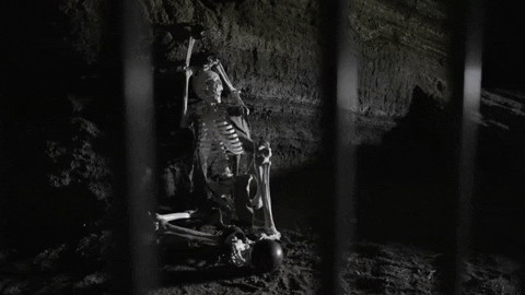 Scary Skull In Prison GIF