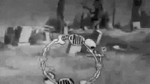 Scary Skull Performing GIF