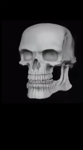 Scary Skull Rotating Meme GIF