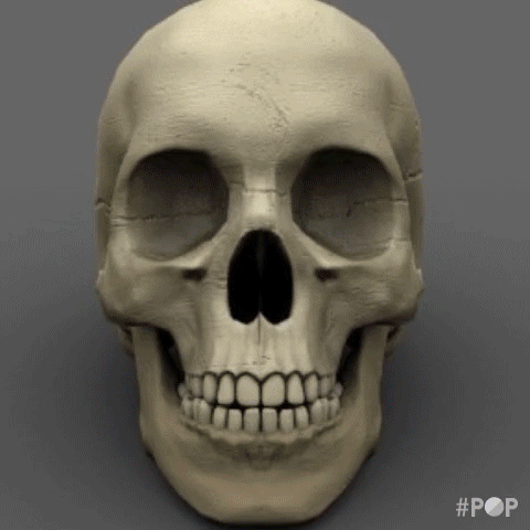 Scary Skull Staring Creepily GIF