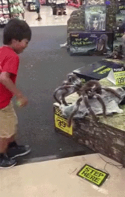 Scary Spider Jumpscare Prank GIF