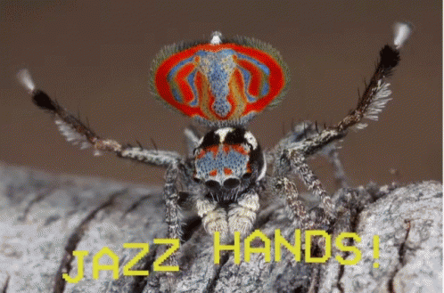 Scary Spider King GIF