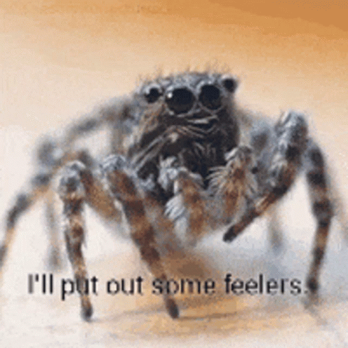 Scary Spider Waving Hi GIF