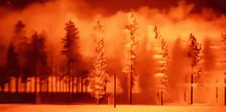 Scary Wildfire Blast Swaying Trees GIF