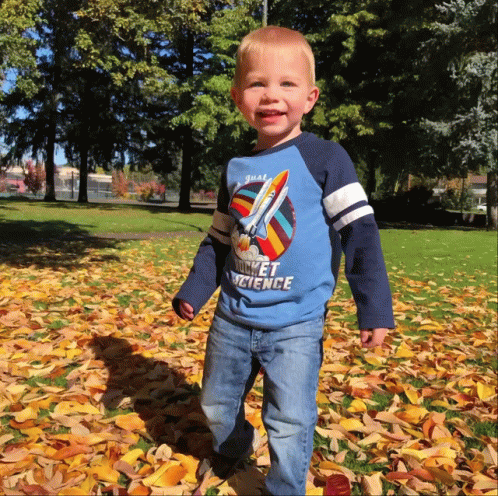 Scattered Falling Leaves GIF