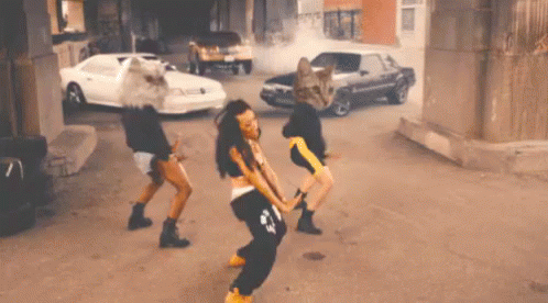 Scene Sisters Get Low Music Video GIF