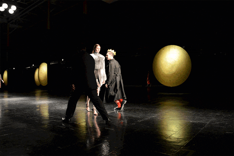 Scene Stealer Runway Walk GIF