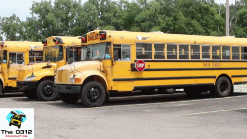 School Buses With Stop Sign GIF