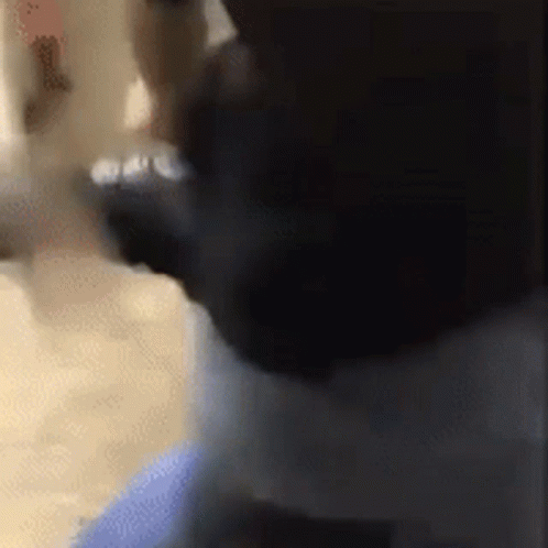 School Fight Boys Rumble GIF