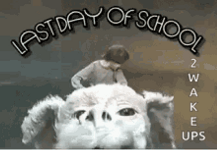 Schools Out For Summer To Wake Ups Yeah GIF