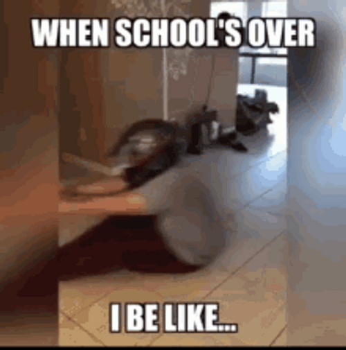 Schools Out For Summer When School Is Over GIF