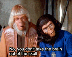 Sci Fi Talking Monkeys With Human Hair GIF