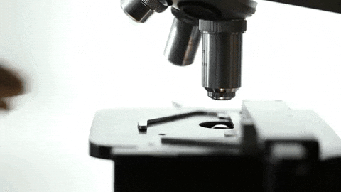 Scientist Clipping Specimen On Micropscope GIF