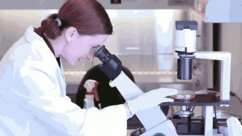 Scientist Woman Research Using Microscope GIF