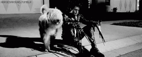Monochromatic Edward Scissorhands Sitting With Dog GIF