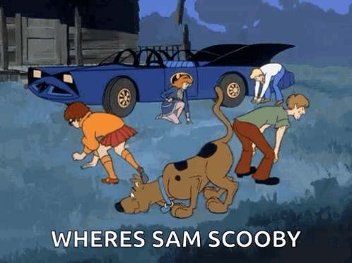 Scooby Doo and Friends Looking for Sam Scooby