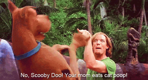Scooby Doo And Shaggy From The Movie Scooby Doo Are Fighting GIF