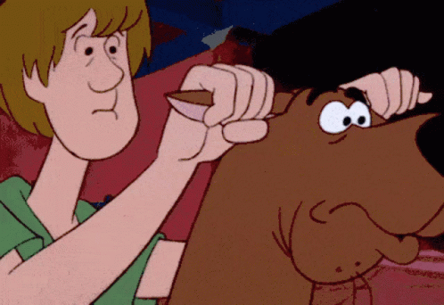 Scooby Doo And Shaggy Playing With Stick GIF